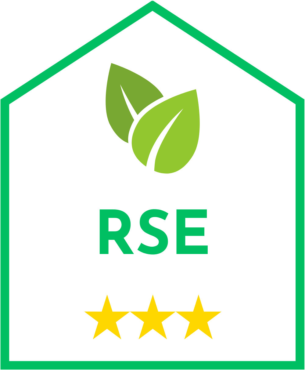RSE ISO 26000